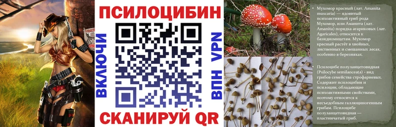 Галлюциногенные грибы ЛСД Малая Вишера